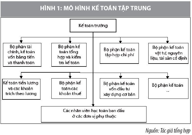 mot-so-mo-hinh-to-chuc-bo-may-ke-toan-tai-cac-don-vi-su-nghiep-cong-lap